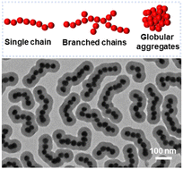 Graphical abstract: A general method for precise chain assembly of noble metal nanoparticles