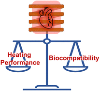 Graphical abstract: Magnetic nanoparticles for nanowarming: seeking a fine balance between heating performance and biocompatibility
