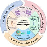 Graphical abstract: Dynamic evolution of electrocatalytic materials for Li–S batteries