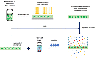 Graphical abstract: Synthesis of composite imprinted polymer membranes for the selective removal of 17β-estradiol from water