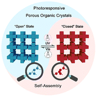 Graphical abstract: Photochromic porous organic crystals constructed by the self-assembly of triarylethylene derivatives