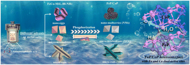 Graphical abstract: Morphology engineering induces the increase of FeP/CoP heterointerface density for efficient alkaline water splitting driven by interfacial dual active sites