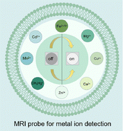 Graphical abstract: Recent progress on MRI probes for metal ion detection and biological applications