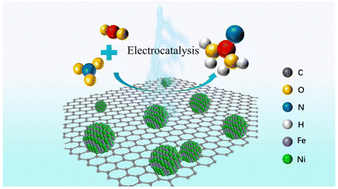 Graphical abstract: FeNi3 nanoparticles for electrocatalytic synthesis of urea from carbon dioxide and nitrate
