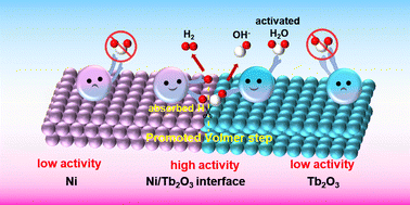 Graphical abstract: A superhydrophilic self-supported nickel/terbium oxide electrode for the alkaline hydrogen evolution reaction at high current density