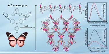 Graphical abstract: AIE macrocyclic molecule-based assembled materials with opposite solvent-responsive properties