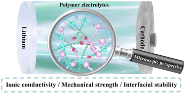 Graphical abstract: Practical challenges and future perspectives of solid polymer electrolytes: microscopic structure and interface design