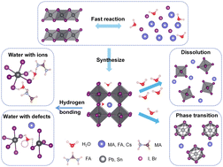 Graphical abstract: Interaction mechanism between water molecules and perovskites