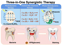 Graphical abstract: Three-in-one synergistic therapy for tooth whitening and biofilm eradication using Cu-doped Bi2WO6