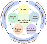 Graphical abstract: Rise of wood-based catalytic electrodes for large-scale hydrogen production