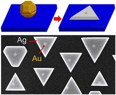 Graphical abstract: Large-area arrays of epitaxially aligned silver nanotriangles seeded by gold nanostructures