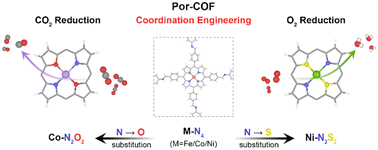 Graphical abstract: Boosting the catalytic performance of metalloporphyrin-based covalent organic frameworks via coordination engineering for CO2 and O2 reduction