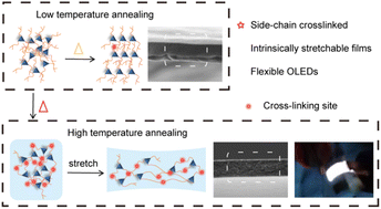 Graphical abstract: Intrinsically stretchable and efficient cross-linked small molecular emitter for flexible organic light-emitting diodes
