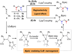 Graphical abstract: An umpolung mechanism of B(pin)-mediated Cu/B rearrangement and origin of regioselectivity for NHC-Cu-catalyzed allylation of imines