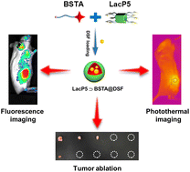 Graphical abstract: A supramolecular near-infrared nanophotosensitizer from host-guest complex of lactose-capped pillar[5]arene with aza-BODIPY derivative for tumor eradication