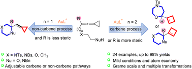 Graphical abstract: Gold(i)-catalyzed cycloisomerization of alcohol or amine tethered-vinylidenecyclopropanes providing access to morpholine, piperazine or oxazepane derivatives: a carbene versus non-carbene process