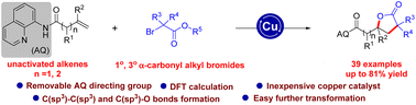 Graphical abstract: Copper-catalyzed intermolecular carboesterification of unactivated aliphatic alkenes with α-carbonyl alkyl bromides via a SET process: efficient synthesis of γ-lactones
