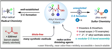 Graphical abstract: Redox-active alkyl xanthate esters enable practical C–S cross-coupling by nickel catalysis