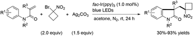 Graphical abstract: gem-Bromonitrocyclobutane induced radical cyclization of acrylanilides to construct 2-oxindoles via photoredox catalysis