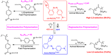 Graphical abstract: Reversibly photoswitchable catalysts for high regioselectivity and enantioselectivity in polymerization of allenes