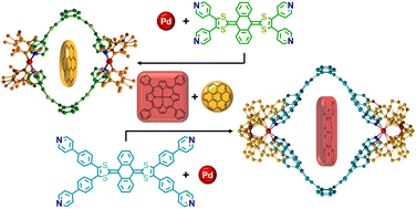 Graphical abstract: Playing with the cavity size of exTTF-based self-assembled cages