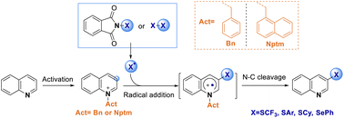 Graphical abstract: C3-selective C–H thiolation of quinolines via an N-arylmethyl activation strategy
