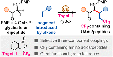 Graphical abstract: Cu-catalysed three-component C–H trifluoroalkylation of glycine derivatives: access to diverse CF3-containing amino acids