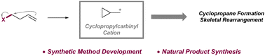 Graphical abstract: Cyclopropylcarbinyl cation chemistry in synthetic method development and natural product synthesis: cyclopropane formation and skeletal rearrangement