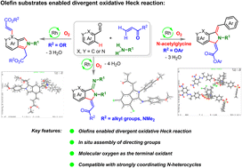 Graphical abstract: Ligand-assisted olefin-switched divergent oxidative Heck cascade with molecular oxygen enabled by self-assembled imines