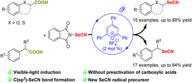 Graphical abstract: Photocatalytic decarboxylative selenocyanation of 2-aryloxy and 2-aryl carboxylic acids with N-selenocyanatophthalimide