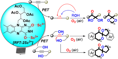 Graphical abstract: Aerobic oxyfunctionalization of alkynes by a bioinspired flavin–metal ion photocatalytic system