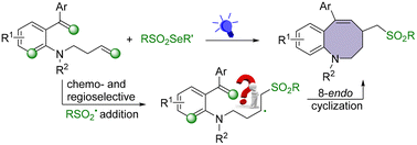 Graphical abstract: Photoinduced sulfonylation cyclization to medium-sized benzo[b]azocine and mechanistic insight