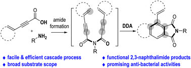 Graphical abstract: Facile access to 1-aryl-2,3-naphthalimides via consecutive amidation/dehydro-Diels–Alder reactions