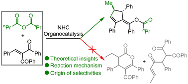 Graphical abstract: Exploring a general mechanistic map on NHC-catalyzed activation/transformation reactions of saturated carboxylic anhydrides