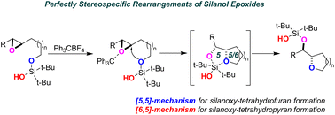 Graphical abstract: Dancing silanols: stereospecific rearrangements of silanol epoxides into silanoxy-tetrahydrofurans and silanoxy-tetrahydropyrans