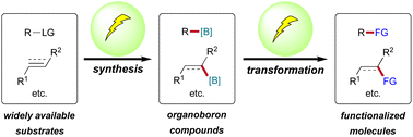 Graphical abstract: Electrochemical synthesis and transformation of organoboron compounds