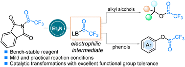 Graphical abstract: Lewis base-catalyzed trifluoromethylsulfinylation of alcohols and phenols: modular synthesis of trifluoromethanesulfinate esters