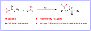 Graphical abstract: Visible-light-mediated C–F bond cleavage for the synthesis of polyfluorinated compounds