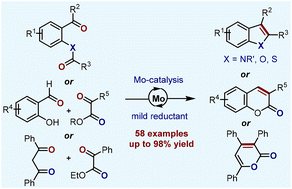 Graphical abstract: Molybdenum-catalyzed carbonyl–carbonyl olefination reaction for heterocycle syntheses