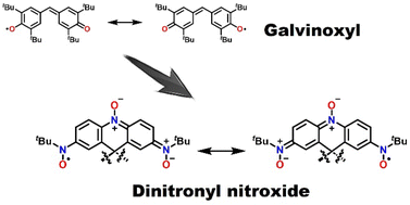 Graphical abstract: Galvinoxyl-inspired dinitronyl nitroxide: structural, magnetic, and theoretical studies
