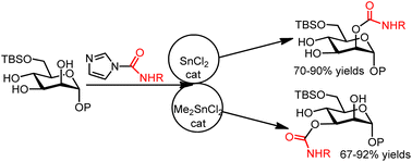Graphical abstract: Site-selective carbamoylation of carbohydrates catalyzed by SnCl2/Me2SnCl2 leading to complementary selectivity