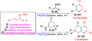 Graphical abstract: Fe(OTf)3-catalyzed annulation of α,β-unsaturated ketoxime acetates with enaminones for the synthesis of functionalized 2,4-diarylpyridines