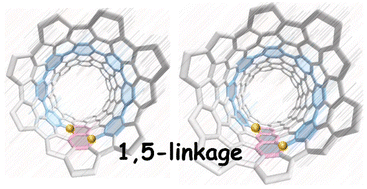 Graphical abstract: Synthesis and photophysical properties of helical carbon nanohoops with twisted acene panels