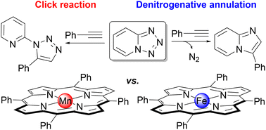 Graphical abstract: Computational insights into the dual reactivity of 1,2,3,4-tetrazole: a metalloporphyrin-catalyzed click reaction and denitrogenative annulation
