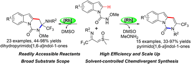 Graphical abstract: Rh(iii)-catalyzed C–H activation/annulation of N-carbamoylindoles with CF3-imidoyl sulfoxonium ylides for the divergent synthesis of trifluoromethyl-substituted (dihydro)pyrimidoindolones