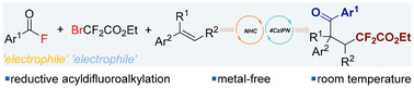 Graphical abstract: Metal-free reductive acyldifluoroalkylation of alkenes through cooperative NHC and organophotocatalysis