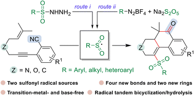 Graphical abstract: Sulfonyl radical-triggered two/three-component tandem bicyclization of CN-containing 1,6-enynes under transition metal- and base-free conditions