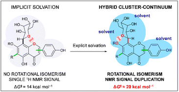 Graphical abstract: Going beyond structural effects: explicit solvation influence on the rotational isomerism of C-glycosylated flavonoids