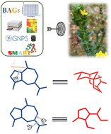Graphical abstract: Rapid screening of unprecedented sesquiterpenes with distinctive ring skeletons from Daphne aurantiaca employing an integrated strategy