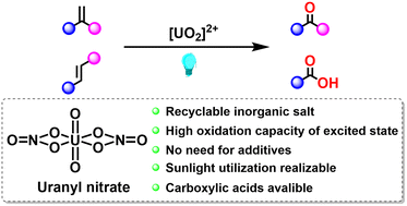 Graphical abstract: Photocatalytic oxidative cleavage of aryl alkene C [[double bond, length as m-dash]] C bonds using a uranyl cation